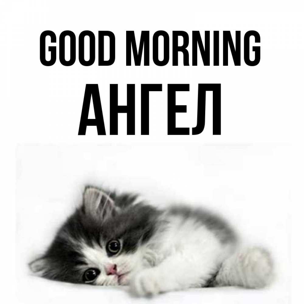 Greetings card с именем, Ангел Good morning кот лапки Greetings with text for free download 