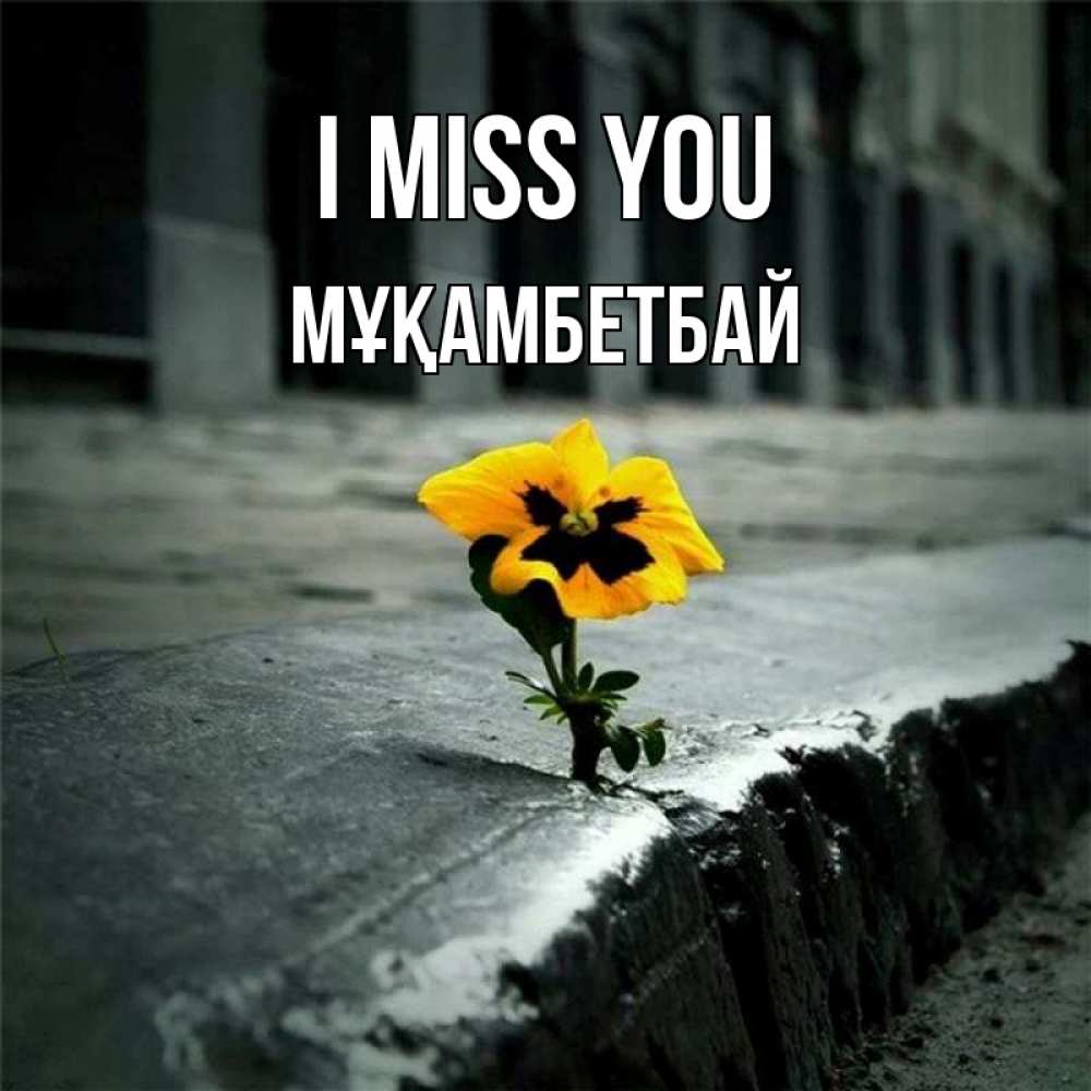 Greetings card с именем, Мұқамбетбай I miss you надеюсь будет лучше Greetings with text for free download 