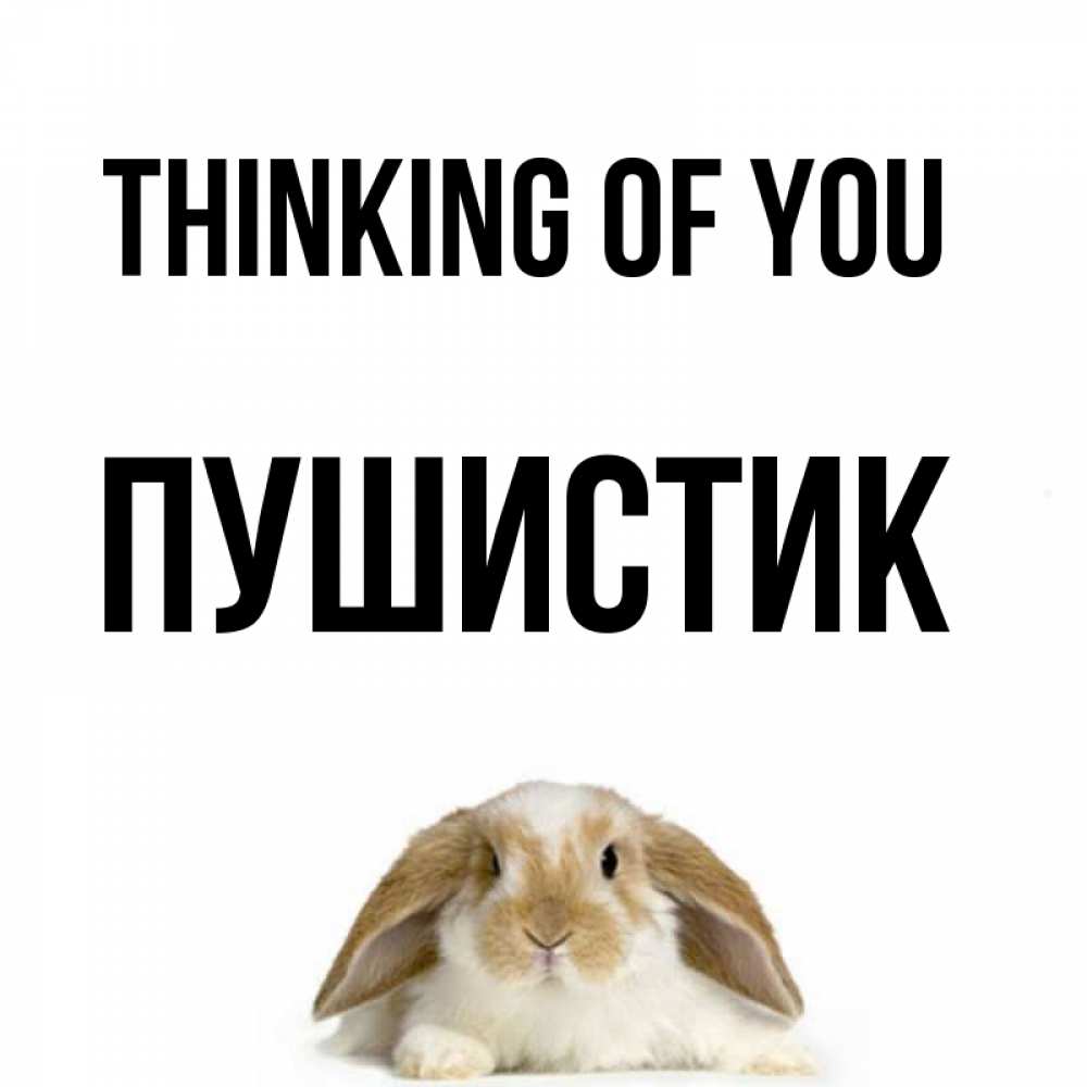 Greetings card с именем, Пушистик Thinking of you подписать своими руками онлайн Greetings with text for free download 