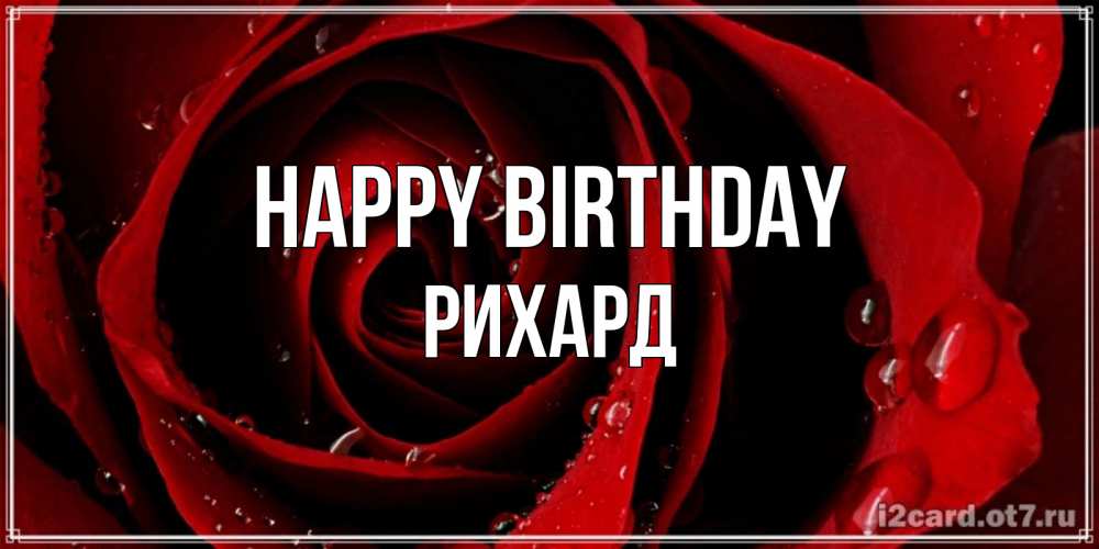 Greetings card с именем, Рихард Happy Birthday крупная бордовая роза Greetings with text for free download 