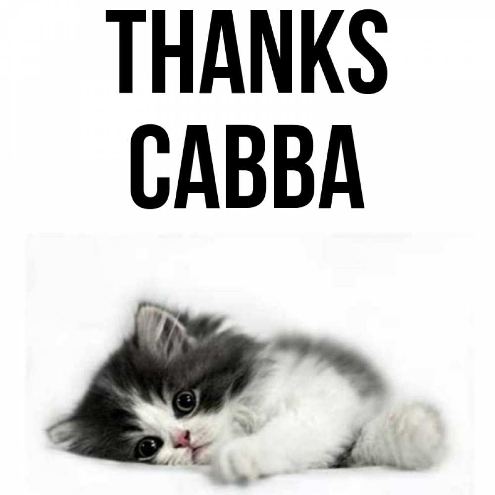 Greetings card с именем, Савва Thanks черный и белый кот Greetings with text for free download 