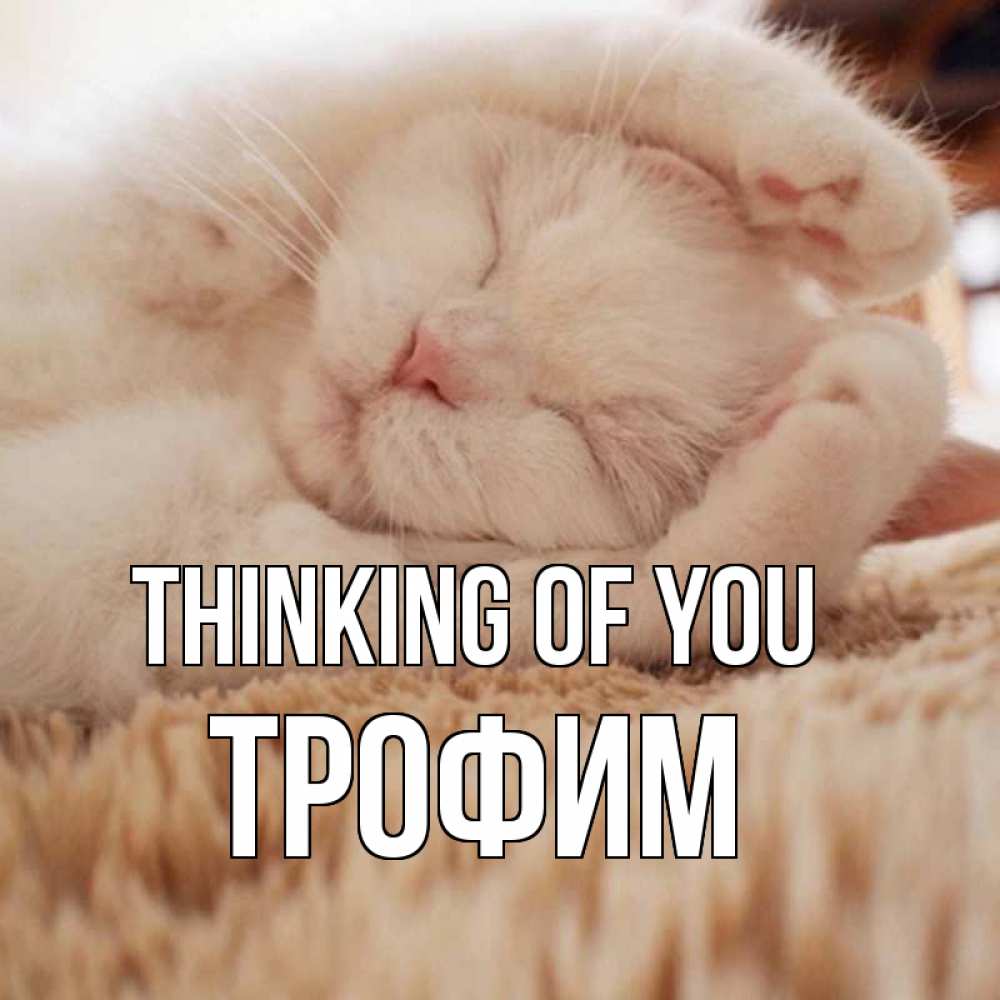Greetings card с именем, Трофим Thinking of you для любимой девушки милота Greetings with text for free download 