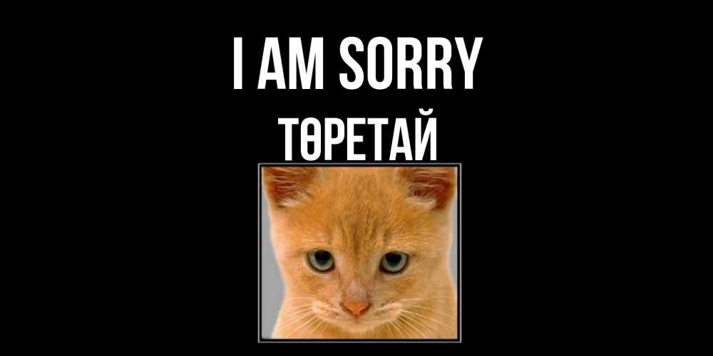 Greetings card с именем, Төретай I am sorry рыжий грустный кот просит прощения Greetings with text for free download 