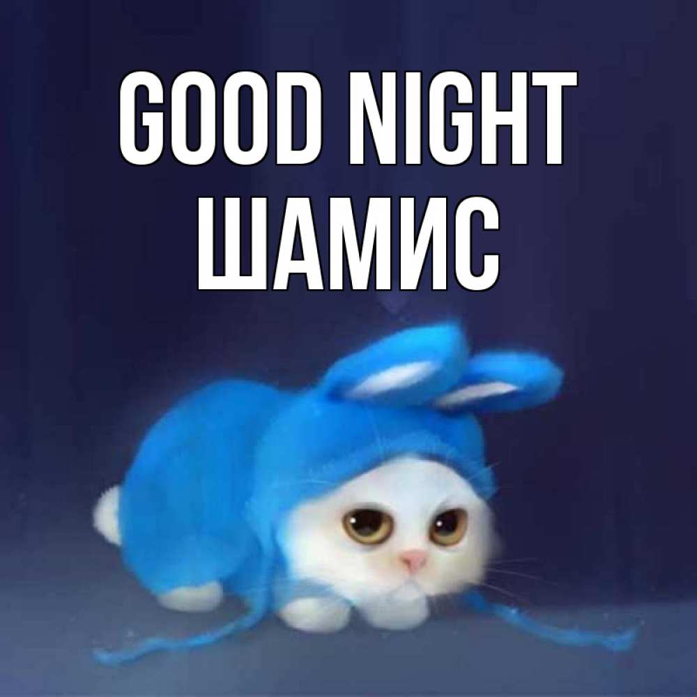 Greetings card с именем, ШАМИС Good night кот в голубом костюме кролика с ушками Greetings with text for free download 