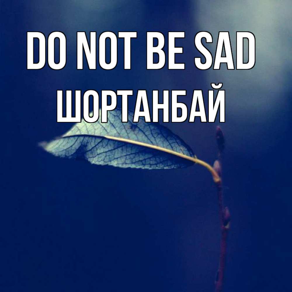 Greetings card с именем, ШОРТАНБАЙ Do not be sad растение Greetings with text for free download 