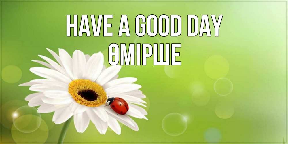 Greetings card с именем, ӨМІРШЕ Have a good day зеленый фон и ромашка Greetings with text for free download 