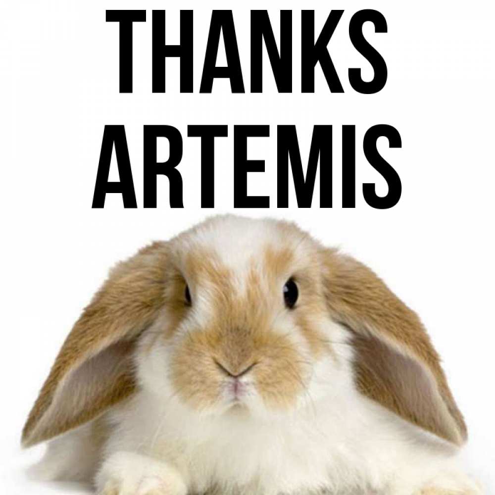 Greetings card с именем, Artemis Thanks коричнево белый заяц Greetings with text for free download 