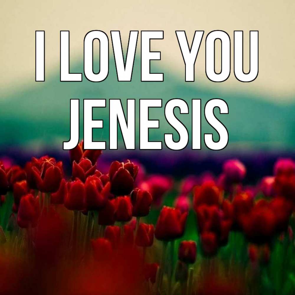 Greetings card с именем, Jenesis I love you тюльпаны 4 Greetings with text for free download 