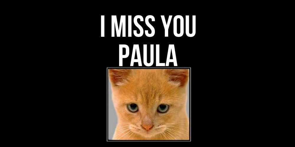 Greetings card с именем, Paula I miss you открытки рыжий котенок скучает по тебе Greetings with text for free download 
