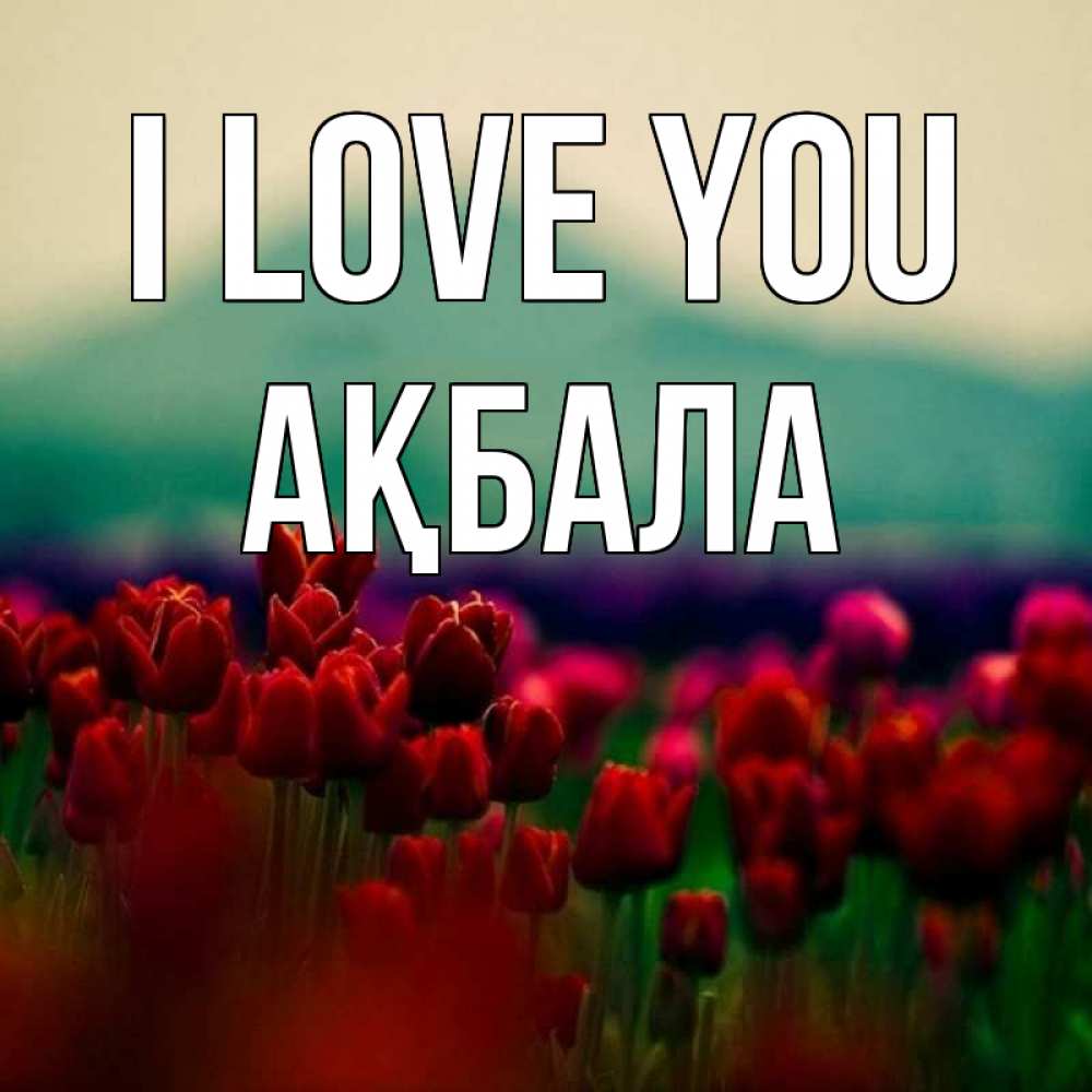 Greetings card с именем, АҚБАЛА I love you тюльпаны 4 Greetings with text for free download 