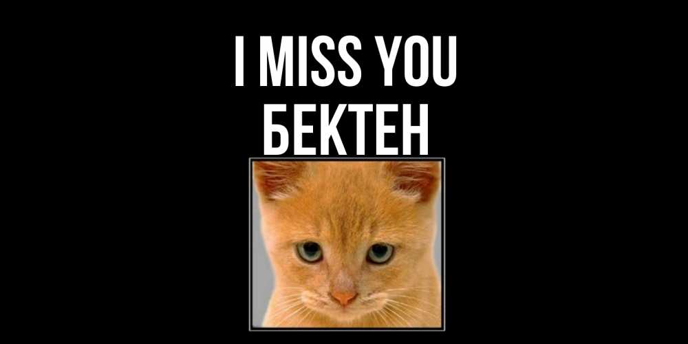 Greetings card с именем, Бектен I miss you открытки рыжий котенок скучает по тебе Greetings with text for free download 
