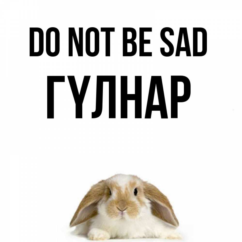 Greetings card с именем, ГҮЛНАР Do not be sad коричнево белый заяц с большими ушками Greetings with text for free download 
