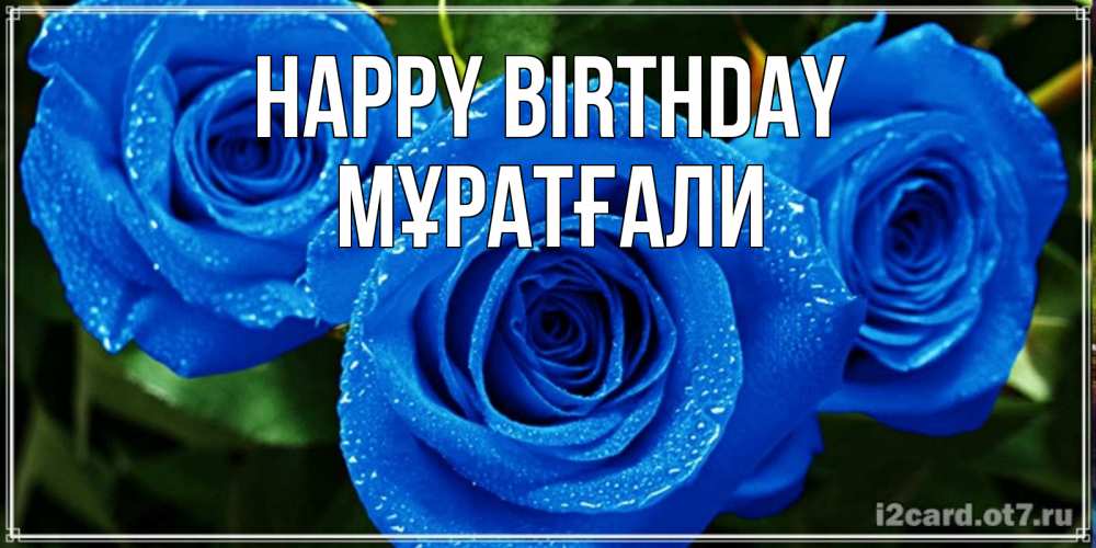 Greetings card с именем, Мұратғали Happy Birthday розы с синим цветом Greetings with text for free download 