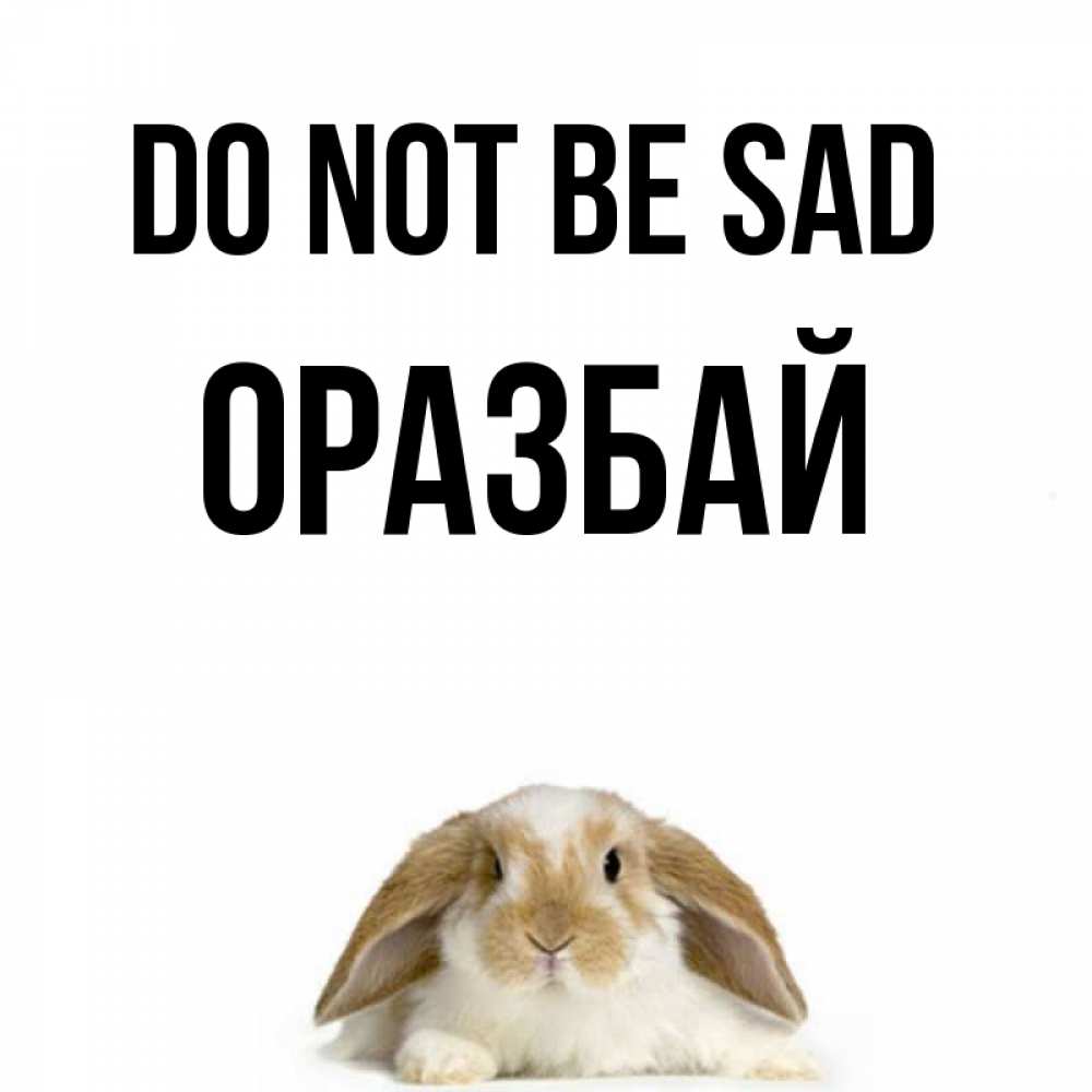Greetings card с именем, ОРАЗБАЙ Do not be sad коричнево белый заяц с большими ушками Greetings with text for free download 