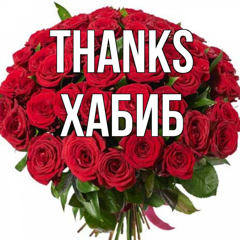 Greetings card с именем, ХАБИБ Thanks букет красных роз Greetings with text for free download 