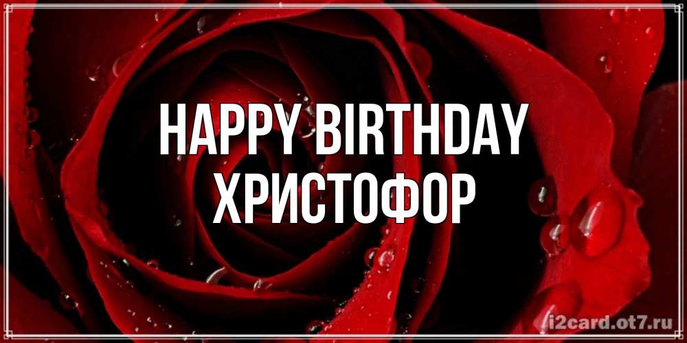 Greetings card с именем, Христофор Happy Birthday крупная бордовая роза Greetings with text for free download 