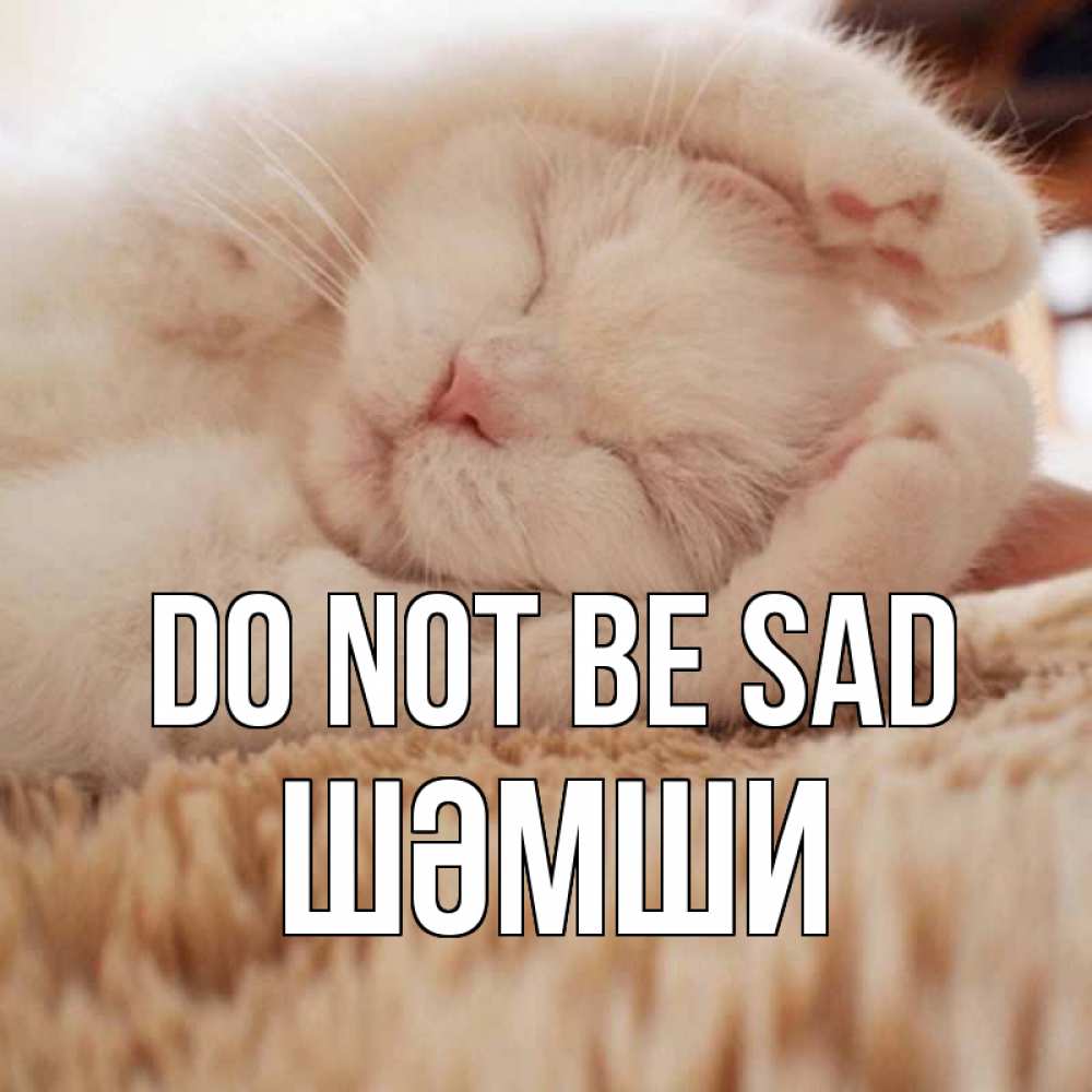 Greetings card с именем, ШӘМШИ Do not be sad белый кот Greetings with text for free download 