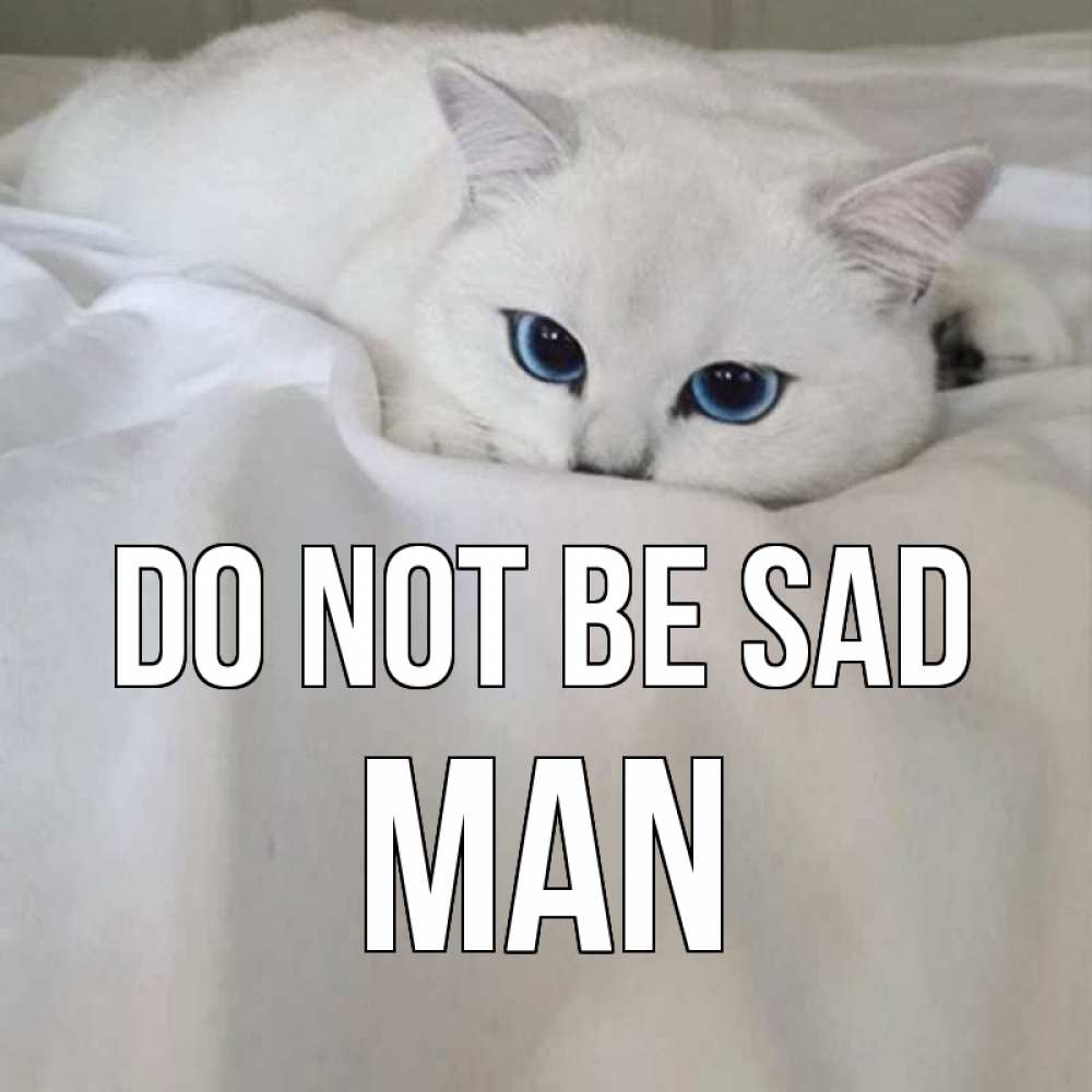 Greetings card с именем, man Do not be sad белый кот с голубыми глазами на белоснежной кровати Greetings with text for free download 