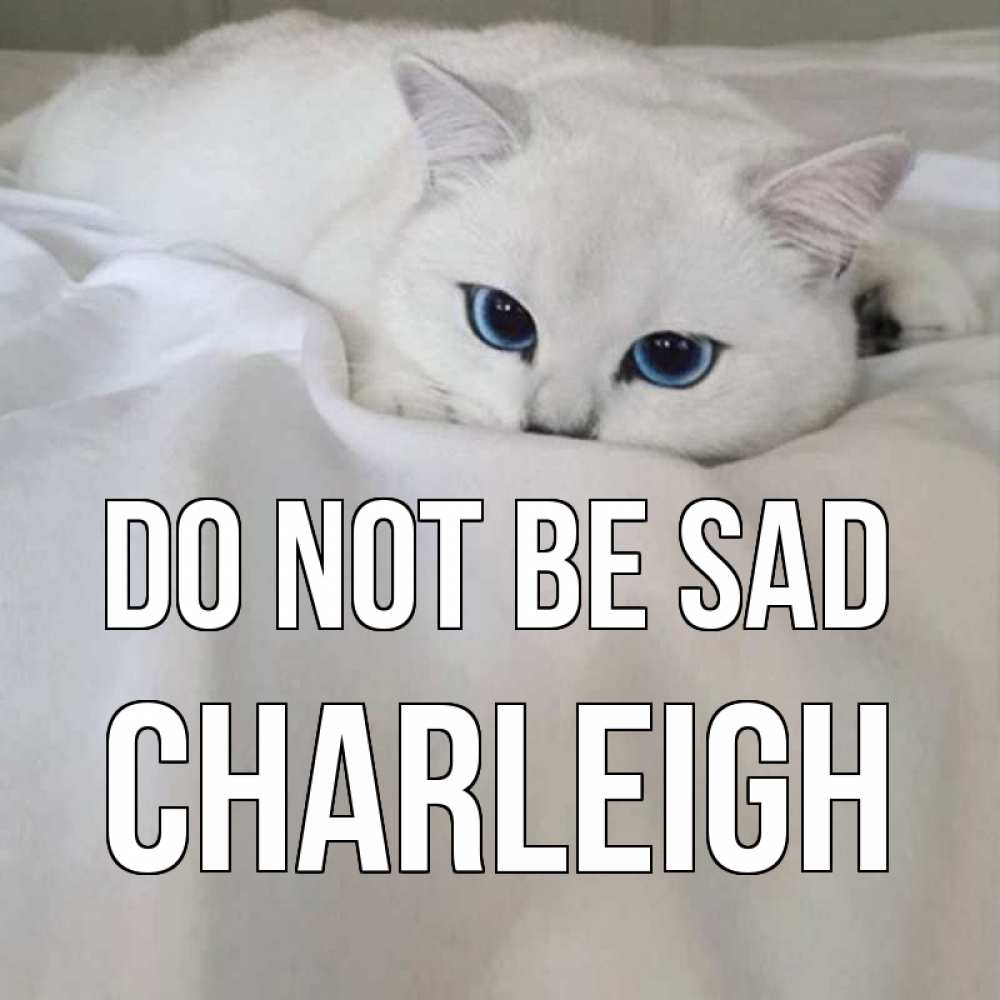 Greetings card с именем, Charleigh Do not be sad белый кот с голубыми глазами на белоснежной кровати Greetings with text for free download 