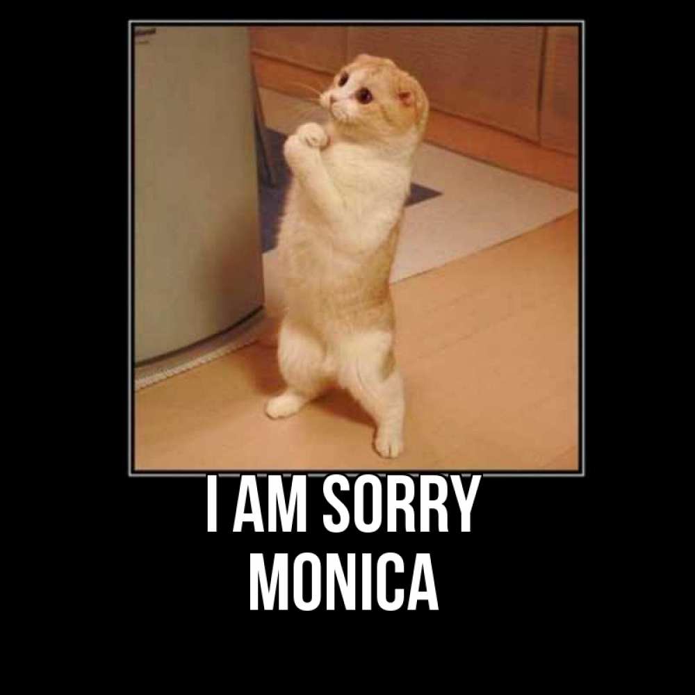 Greetings card с именем, Monica I am sorry открытка с милым несчастным котиком просящим прощения Greetings with text for free download 