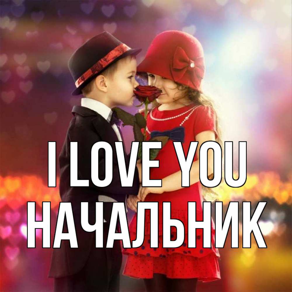 Greetings card с именем, Начальник I love you черное и красное и роза Greetings with text for free download 