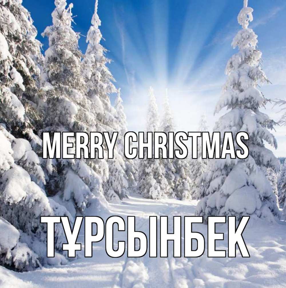 Greetings card с именем, ТҰРСЫНБЕК Merry Christmas зима, лес Greetings with text for free download 