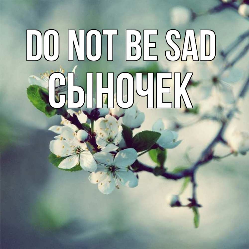 Greetings card с именем, Сыночек Do not be sad яблоня в цвету 1 Greetings with text for free download 
