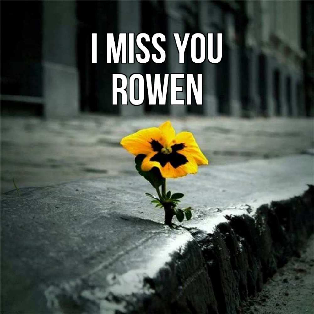 Greetings card с именем, Rowen I miss you надеюсь будет лучше Greetings with text for free download 