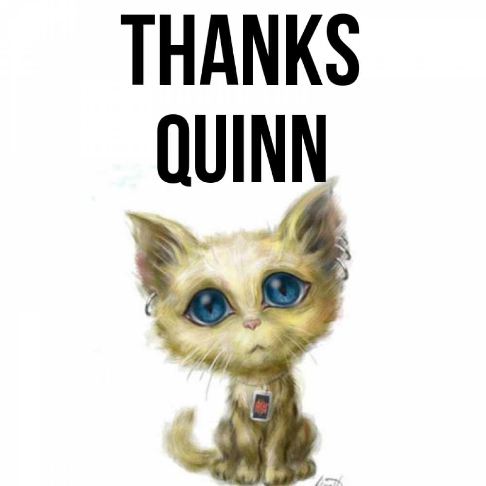 Greetings card с именем, Quinn Thanks рисованный кот благодарит вас Greetings with text for free download 