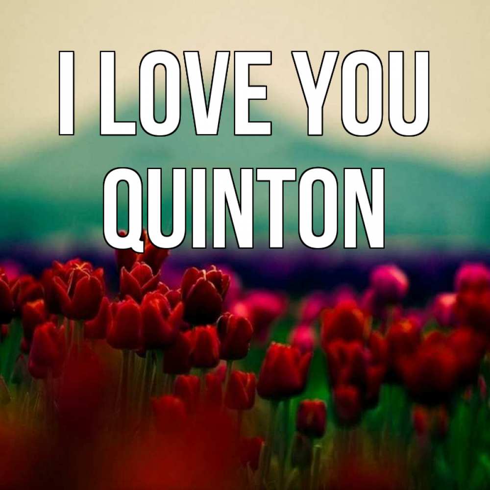 Greetings card с именем, Quinton I love you тюльпаны 4 Greetings with text for free download 