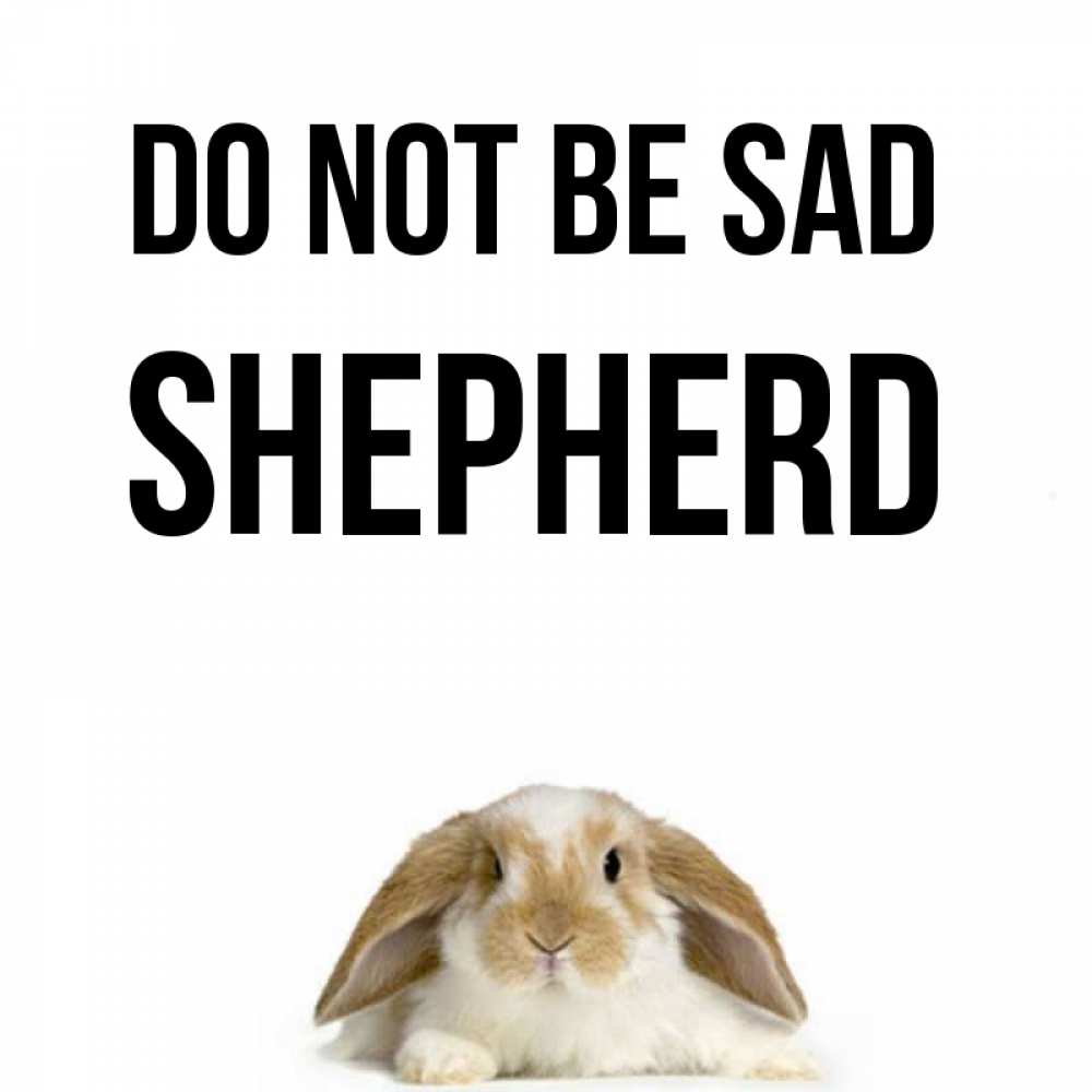 Greetings card с именем, Shepherd Do not be sad коричнево белый заяц с большими ушками Greetings with text for free download 