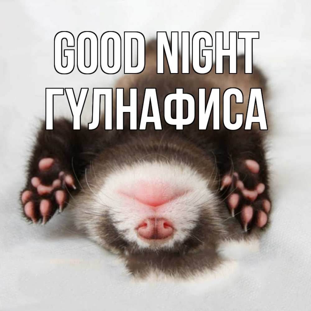Greetings card с именем, ГҮЛНАФИСА Good night зверек Greetings with text for free download 