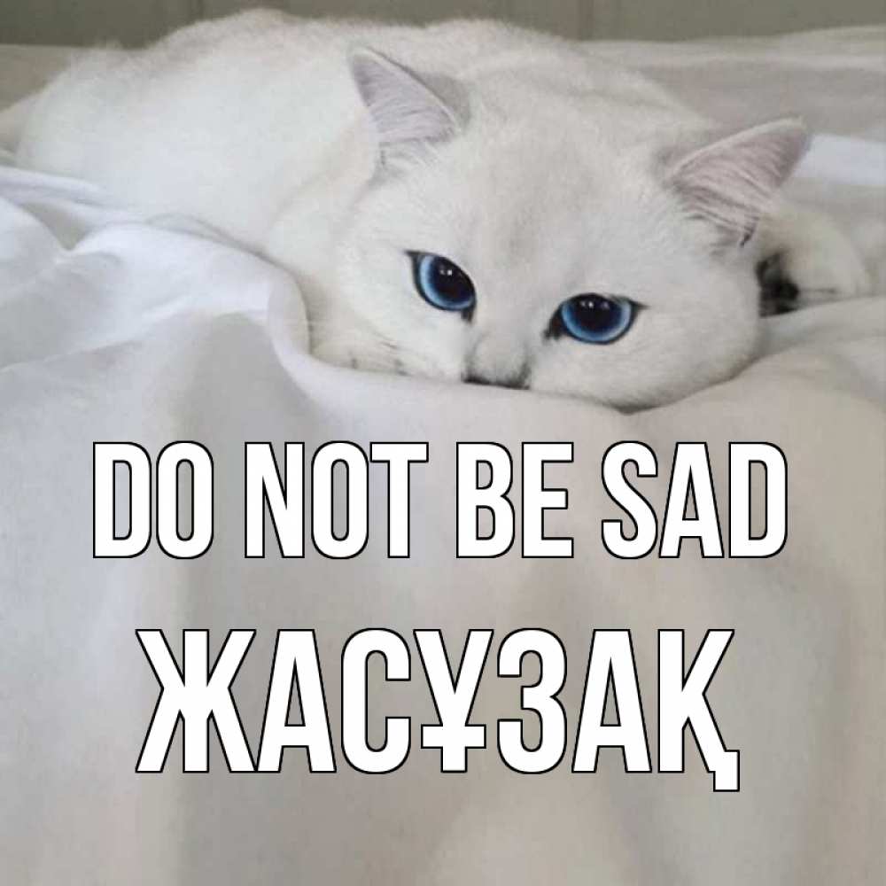 Greetings card с именем, Жасұзақ Do not be sad белый кот с голубыми глазами на белоснежной кровати Greetings with text for free download 