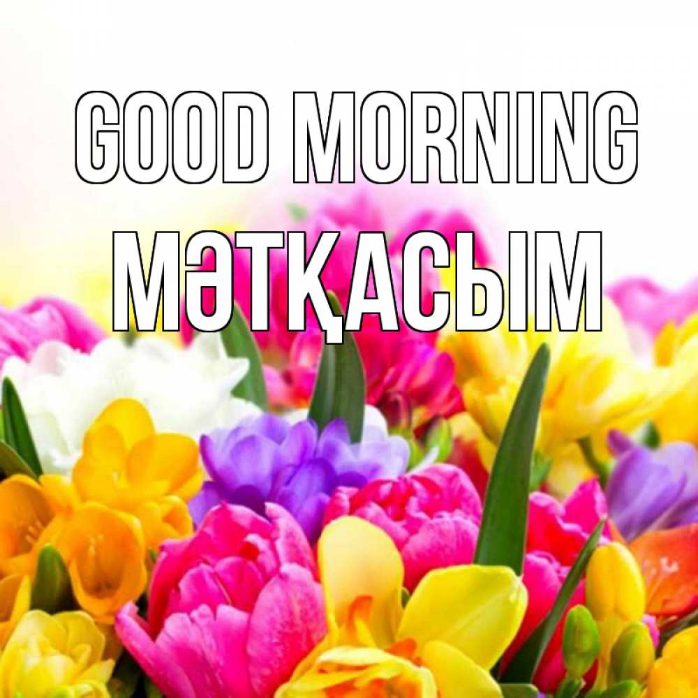 Greetings card с именем, МӘТҚАСЫМ Good morning создать открытку со свое подписью Greetings with text for free download 