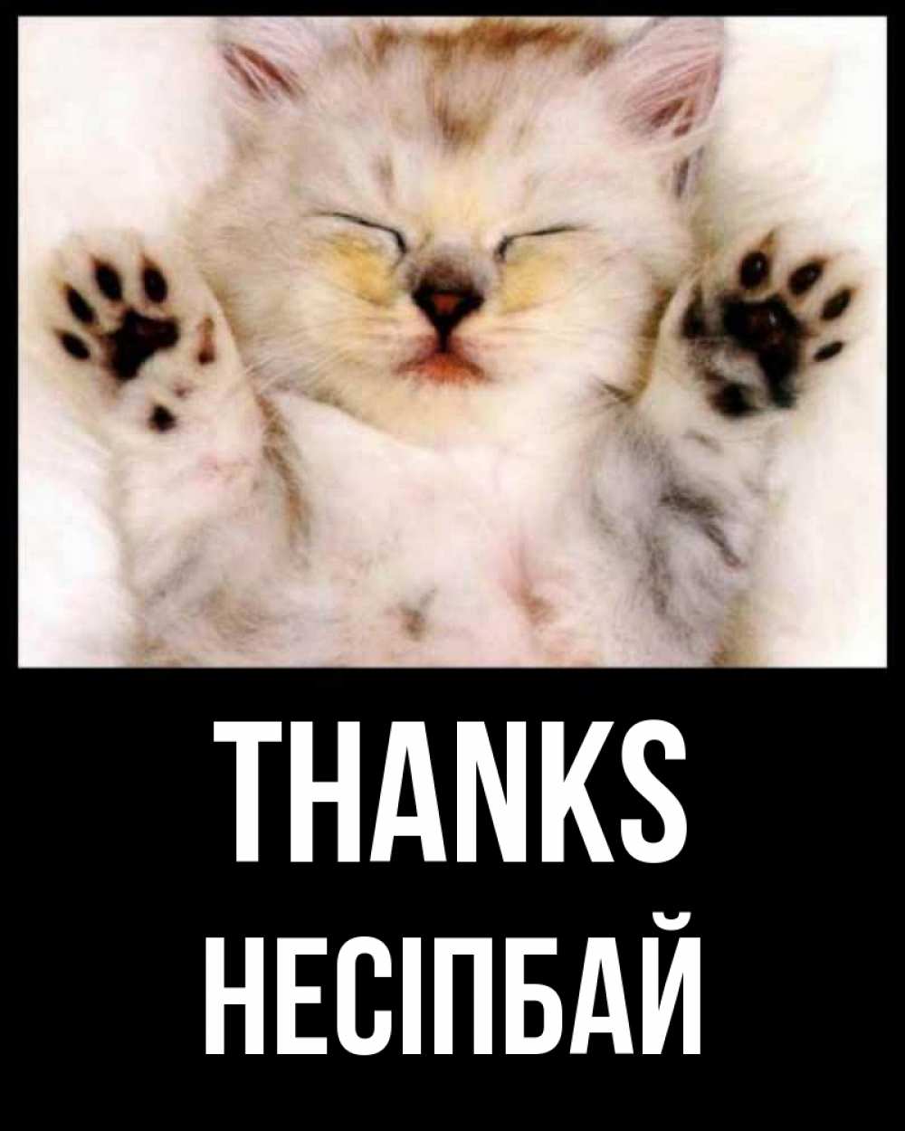 Greetings card с именем, НЕСІПБАЙ Thanks маленький котенок Greetings with text for free download 