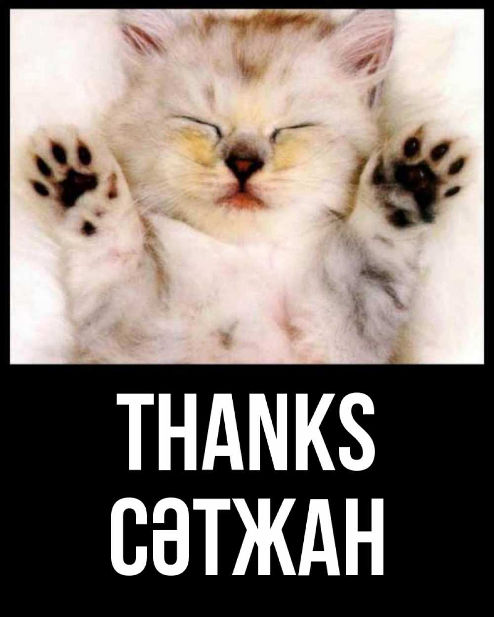 Greetings card с именем, СӘТЖАН Thanks маленький котенок Greetings with text for free download 