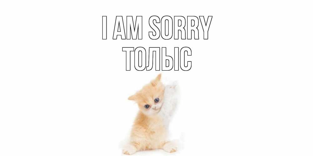 Greetings card с именем, ТОЛЫС I am sorry кот Greetings with text for free download 