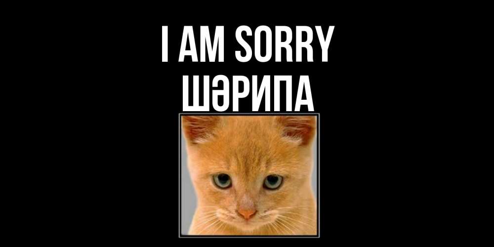 Greetings card с именем, ШӘРИПА I am sorry рыжий грустный кот просит прощения Greetings with text for free download 