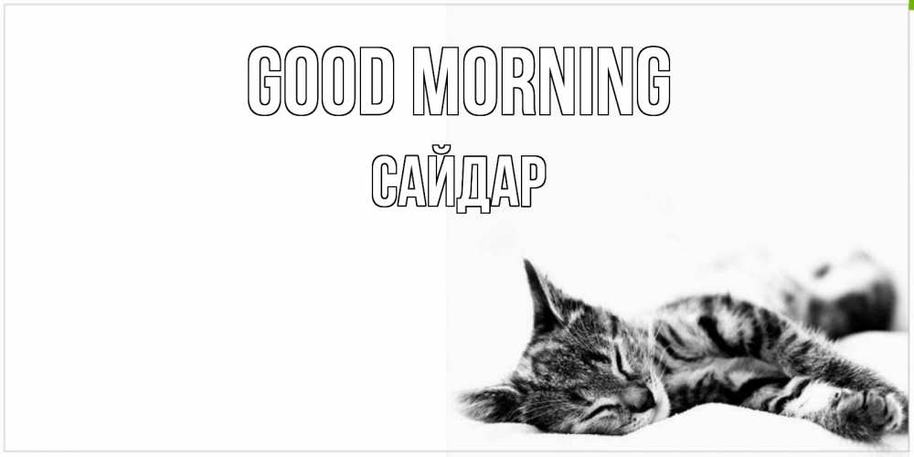 Greetings card с именем, САЙДАР Good morning котуся Greetings with text for free download 