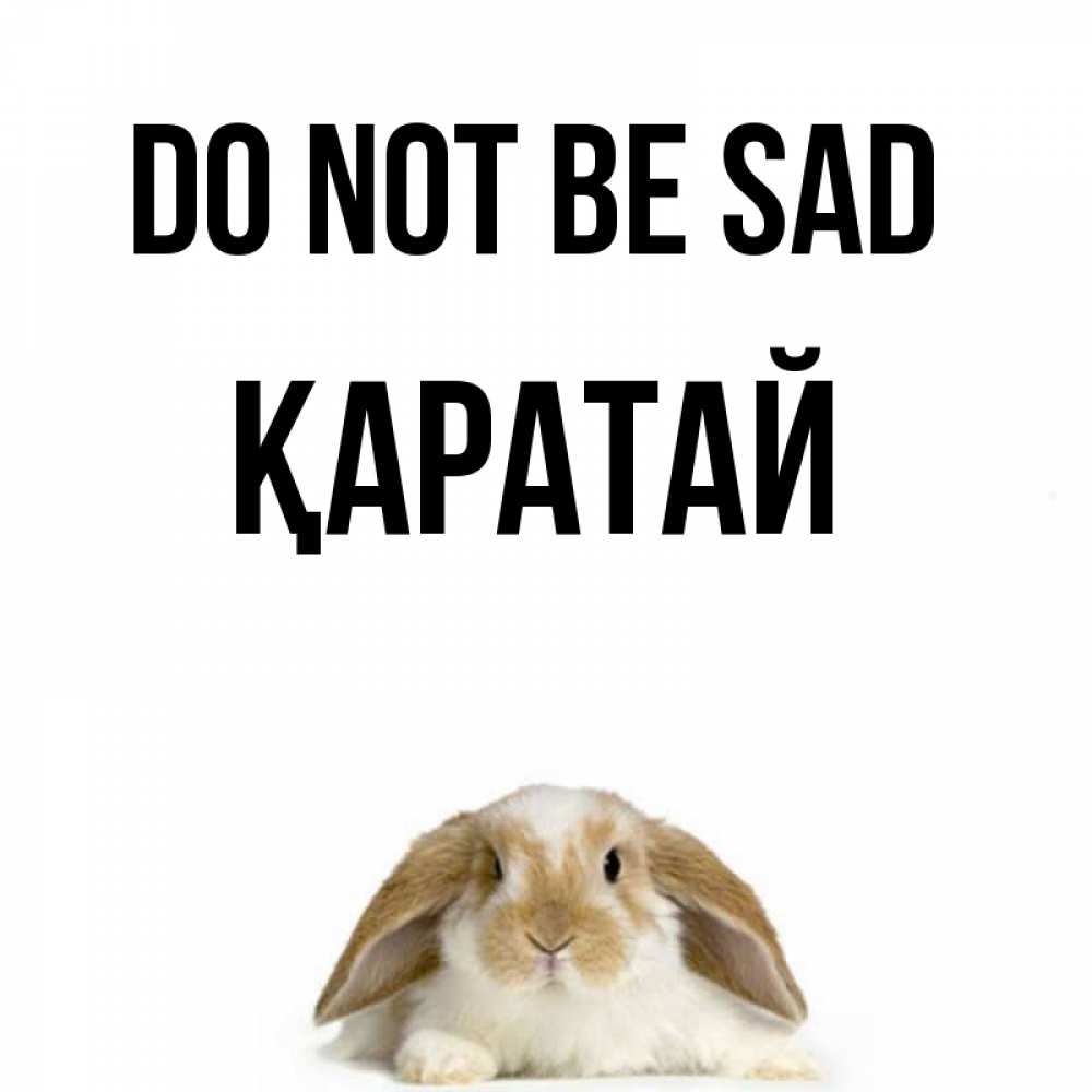 Greetings card с именем, Қаратай Do not be sad коричнево белый заяц с большими ушками Greetings with text for free download 