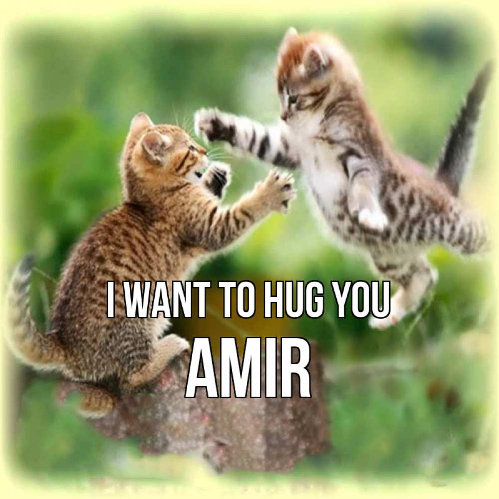 Greetings card с именем, Amir I want to hug you игры котят Greetings with text for free download 