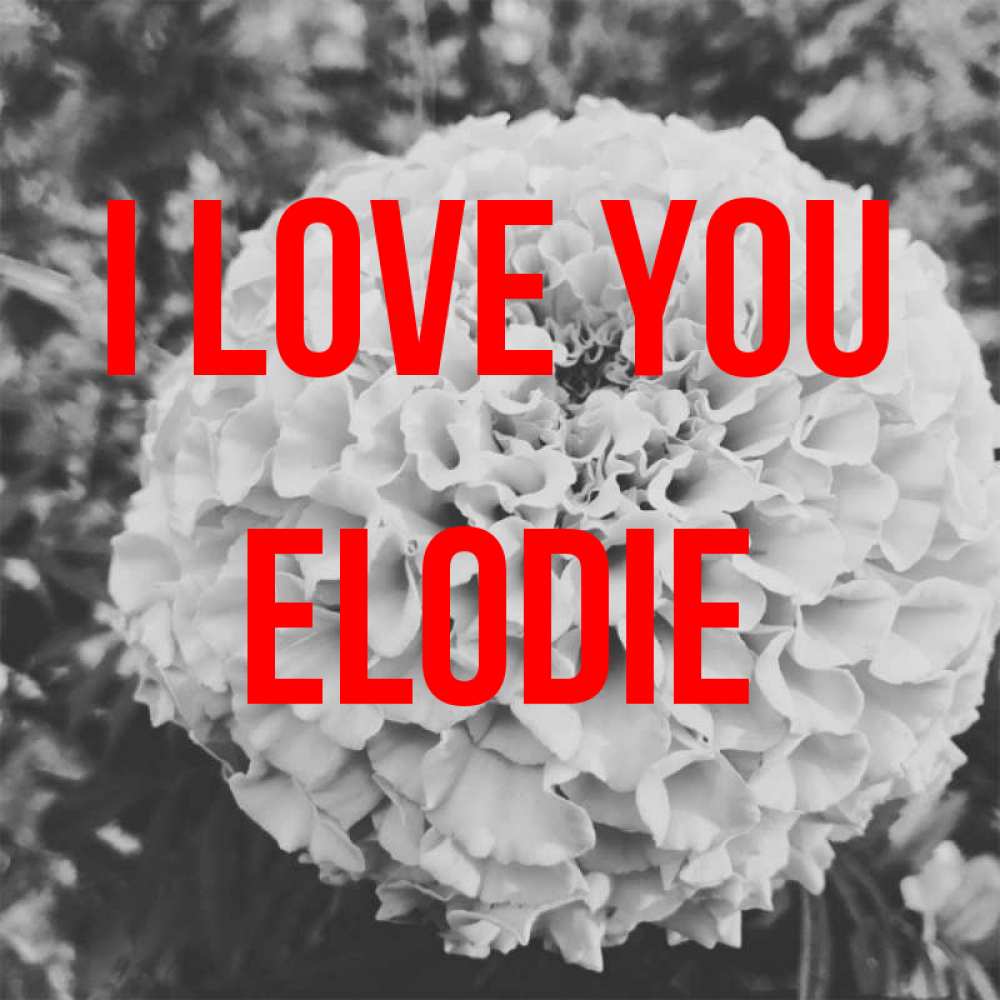 Greetings card с именем, Elodie I love you подпись Greetings with text for free download 