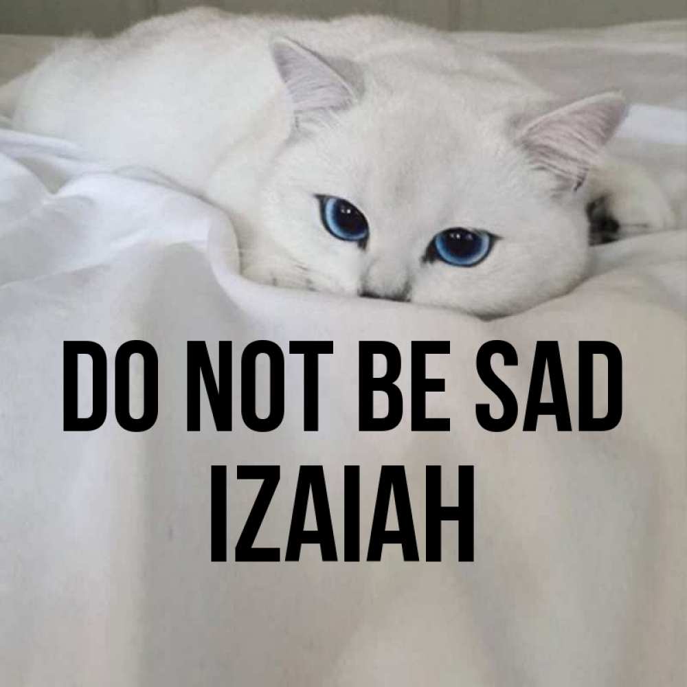 Greetings card с именем, Izaiah Do not be sad Голубоглазая кошка Greetings with text for free download 