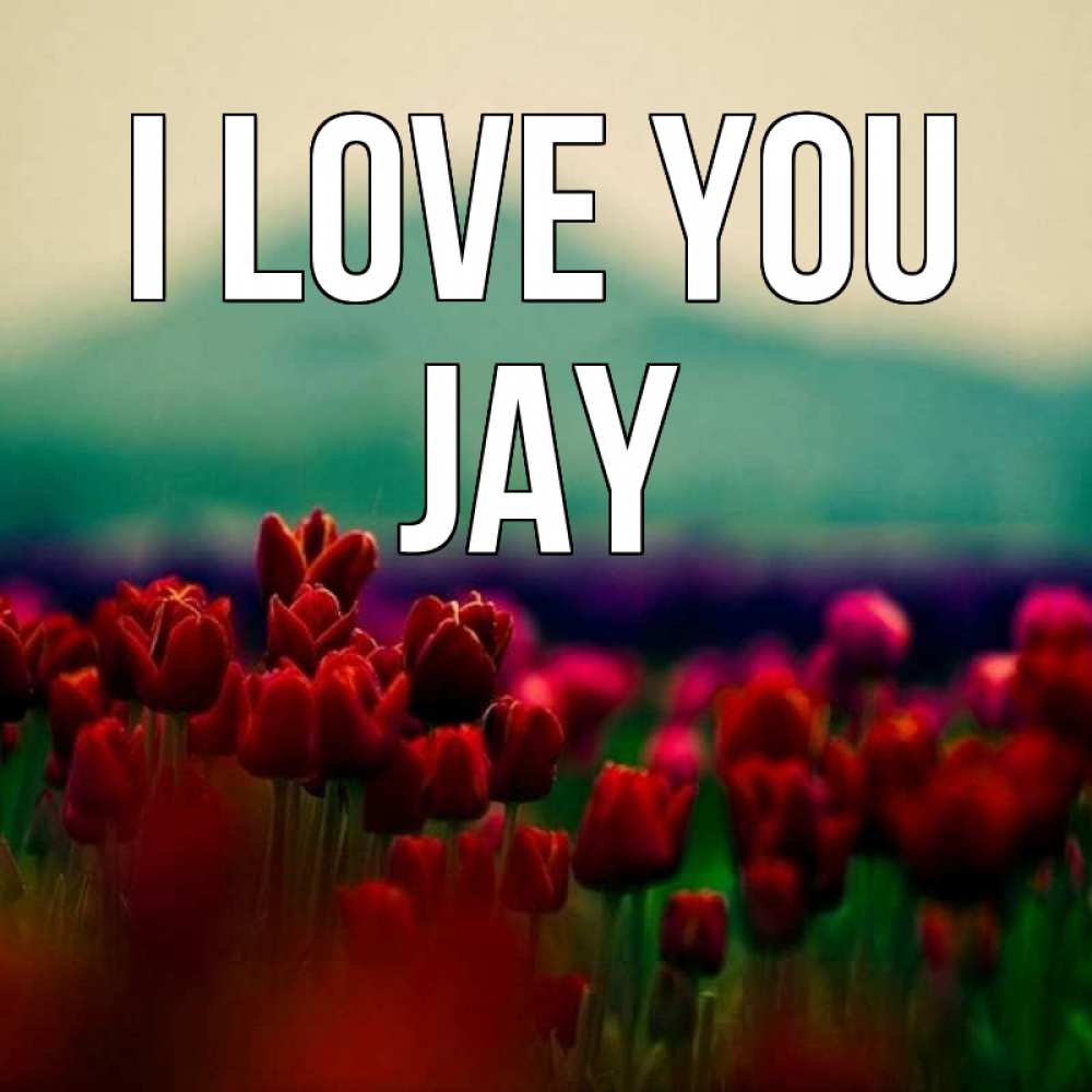 Greetings card с именем, Jay I love you тюльпаны 4 Greetings with text for free download 