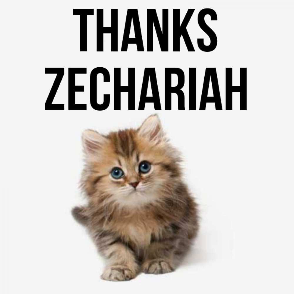 Greetings card с именем, Zechariah Thanks пушистый котик Greetings with text for free download 