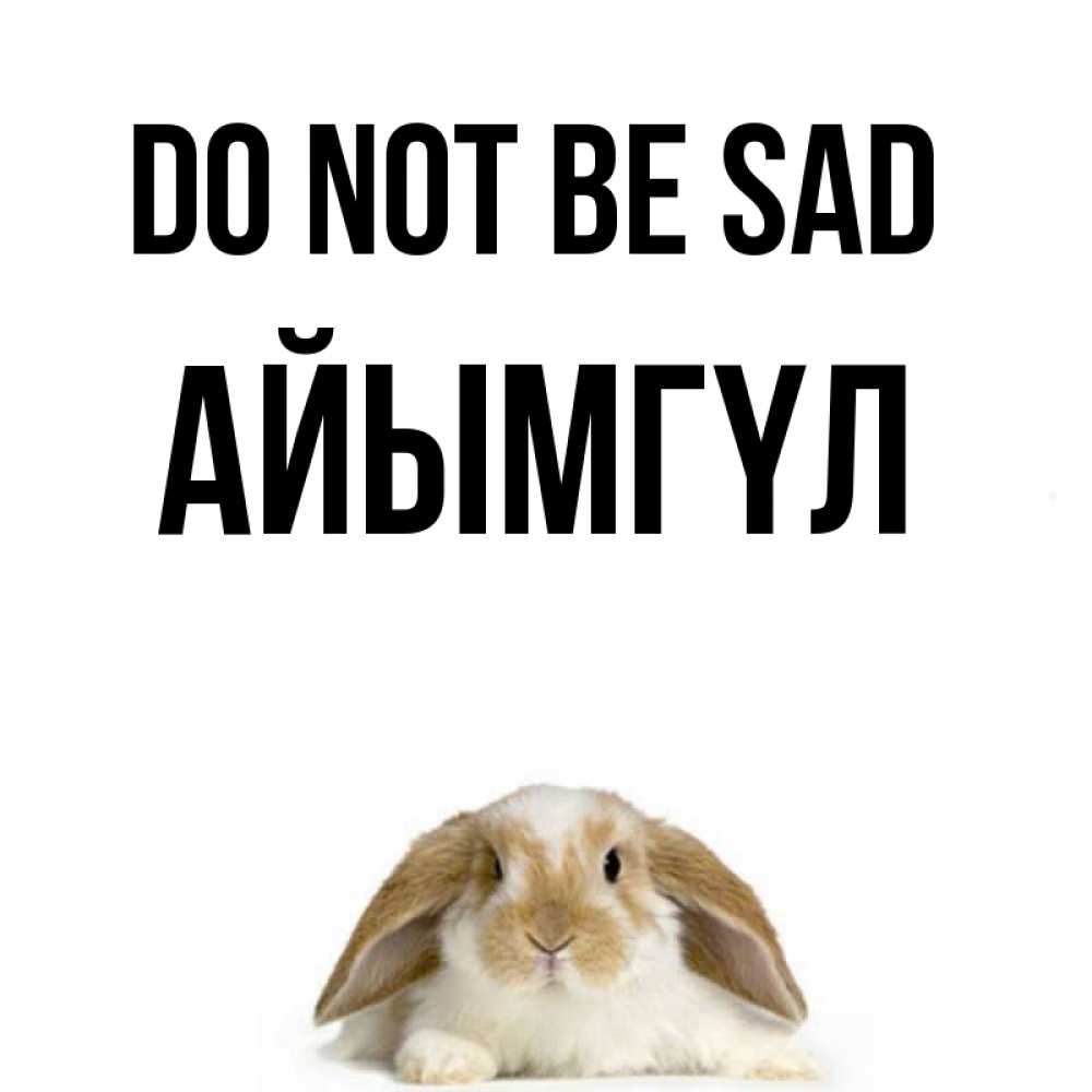 Greetings card с именем, АЙЫМГҮЛ Do not be sad коричнево белый заяц с большими ушками Greetings with text for free download 