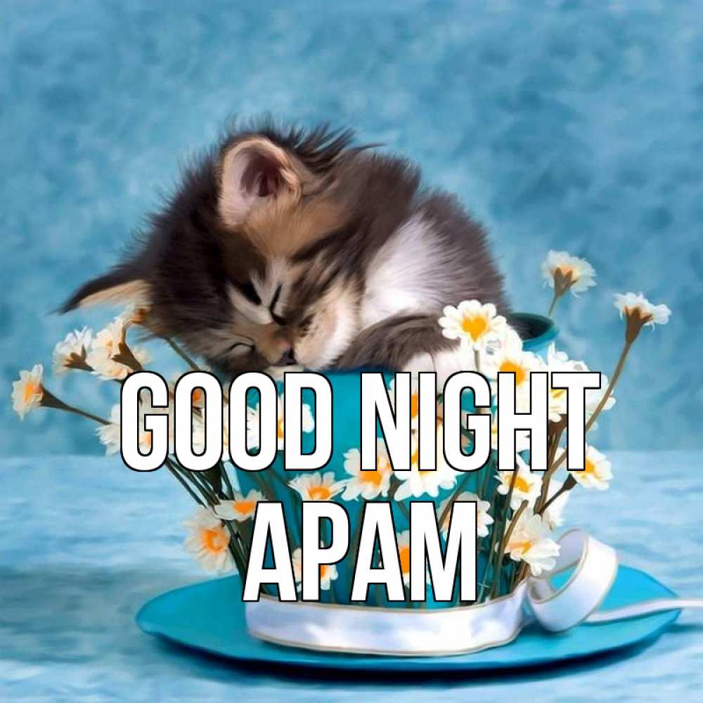 Greetings card с именем, Арам Good night котенок спит в кружке с блюдцем Greetings with text for free download 