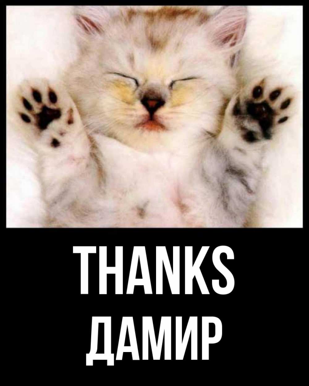 Greetings card с именем, Дамир Thanks маленький котенок Greetings with text for free download 