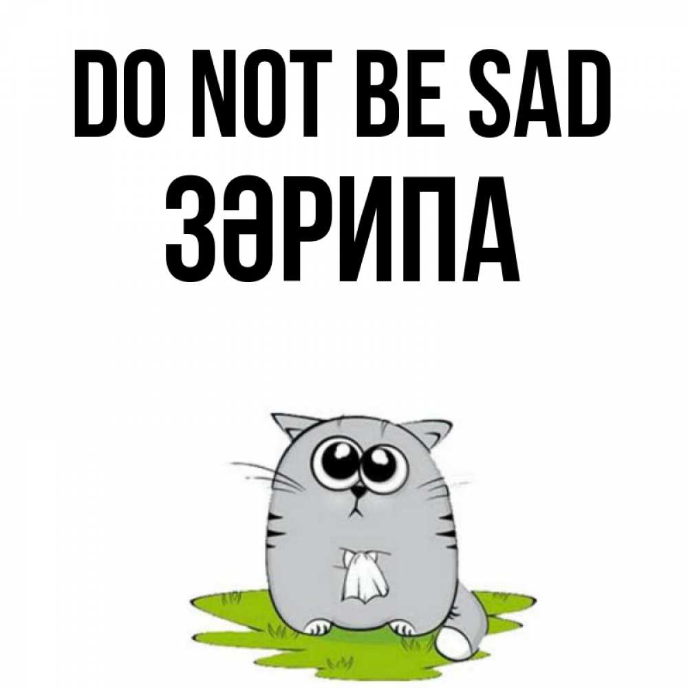 Greetings card с именем, ЗӘРИПА Do not be sad грустный котяра Greetings with text for free download 