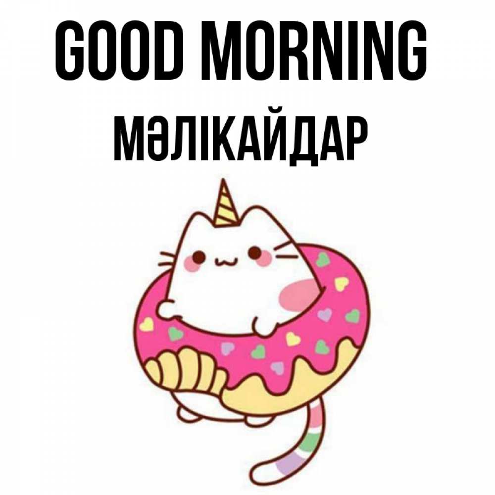 Greetings card с именем, МӘЛІКАЙДАР Good morning кот в бублике Greetings with text for free download 